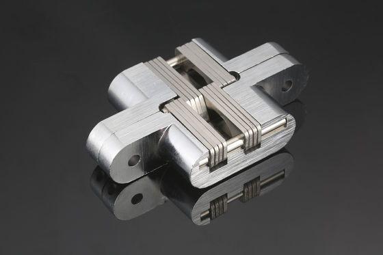 Elektroliz Ağır Hizmet Gizli Kapı Menteşeleri Çok Amaçlı Antikorozif